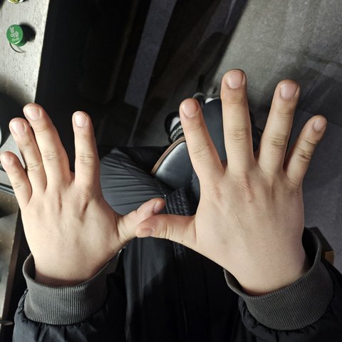 손모양 대결
