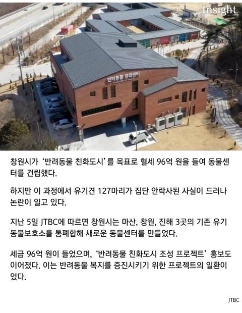 창원시 혈세96억 쓰고유기견127마리 안락사