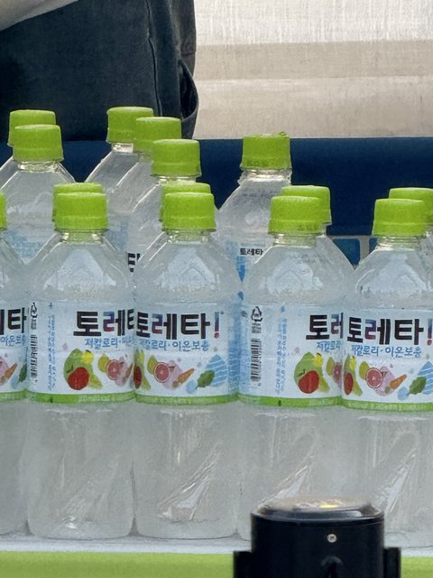 뭐야 윈터 토레타 잘렸다더니