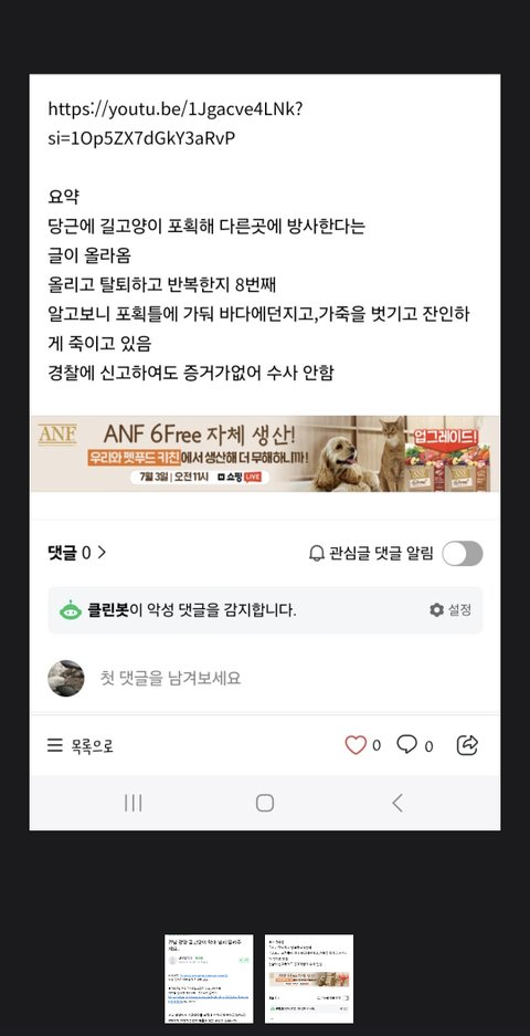 전남 광양시 고양이 학살 사건