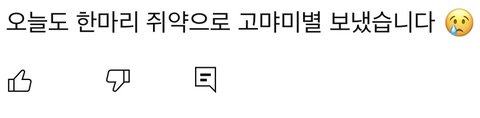 동물에게 상처주는 유튜브 댓글 상습범