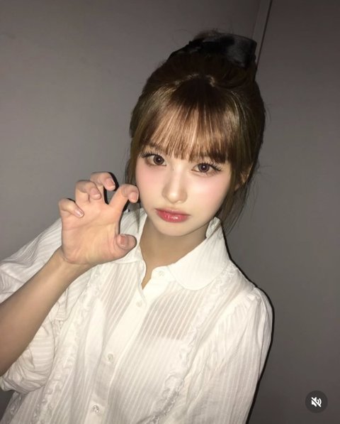 나처럼 설리지 미는사람 없나ㅠㅠ