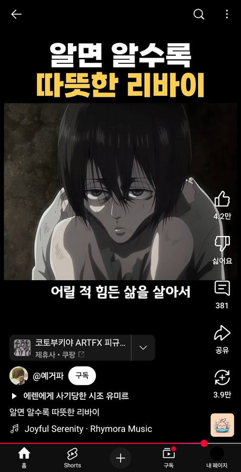 장한음 이거 리바이 생각남