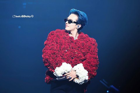 지디 파리콘 스타디움 4.5만 매진ㄷㄷ