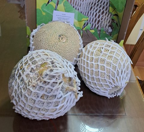 이마트몰에서 멜론을 선물했는데 다 썩은걸보냈어요