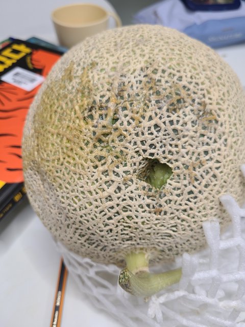 이마트몰에서 멜론을 선물했는데 다 썩은걸보냈어요