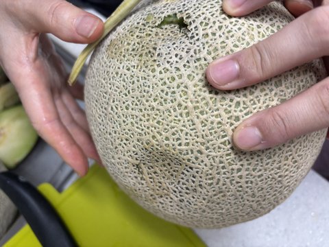 이마트몰에서 멜론을 선물했는데 다 썩은걸보냈어요