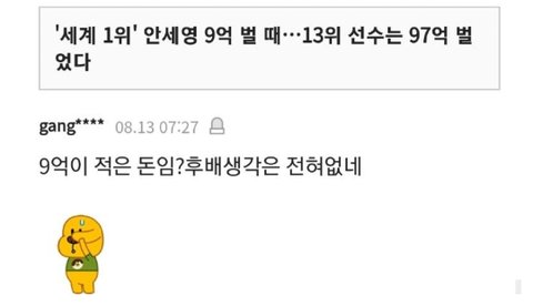 안세영 욕하고 다니는 김연아 극성팬 아줌마