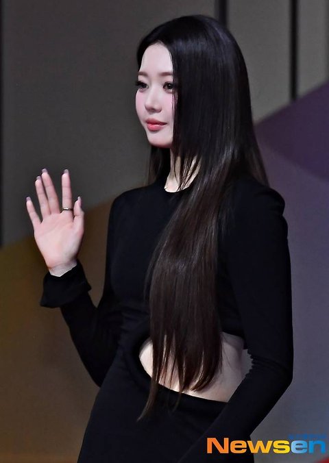 베몬이들 보고가