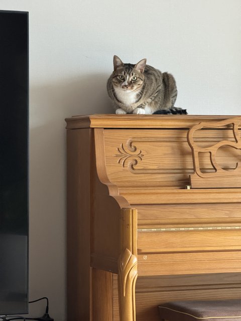 내 남자친구이자 룸메이트 사진