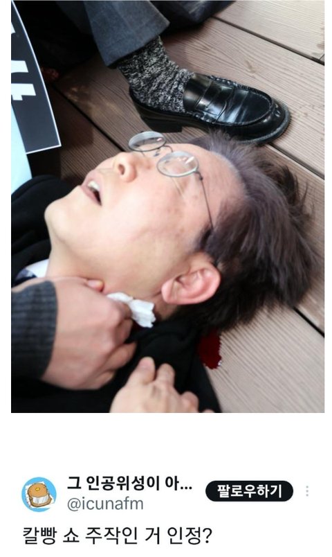 이재명 대통령 악플러