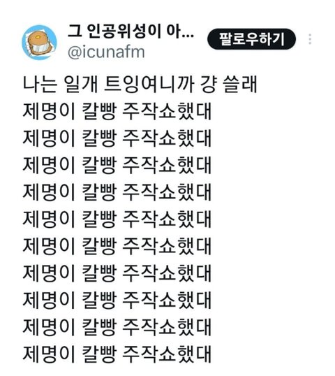 이재명 대통령 악플러