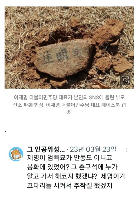이재명 대통령 악플러