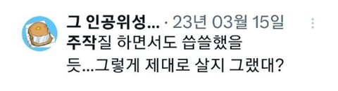 이재명 대통령 악플러