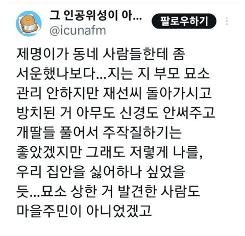 이재명 대통령 악플러