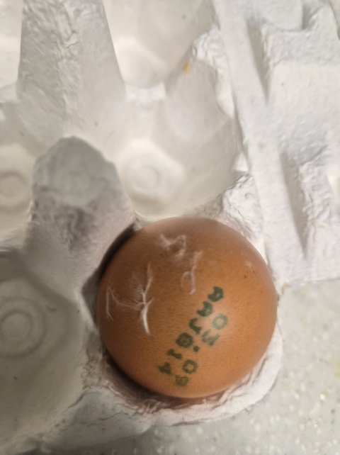 (경악) '뉴스' 제보감 아닌가요? 대기업 CJ 1등급'깨끗한 계란'에서 나온 닭털... 정말 깨끗한 계란일까?