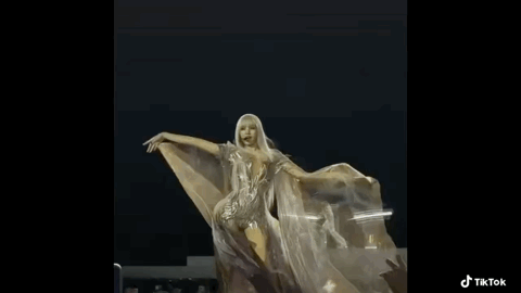 리사 코첼라 무대 ㄷㄷ