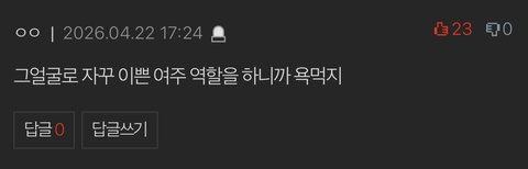 아이유 악플수준