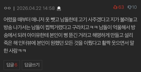아이유 악플수준