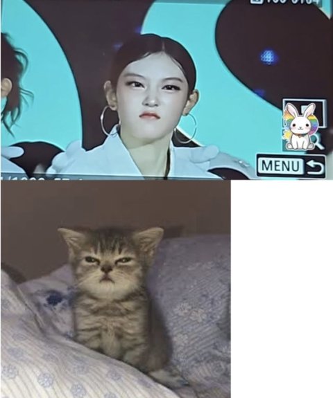 진짜 미쳤구나