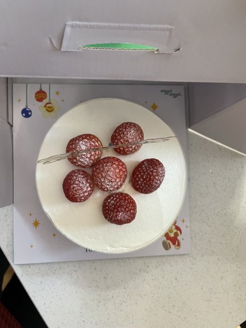 뚜레쥬르 크리스마스 케익… 이게 맞나요?