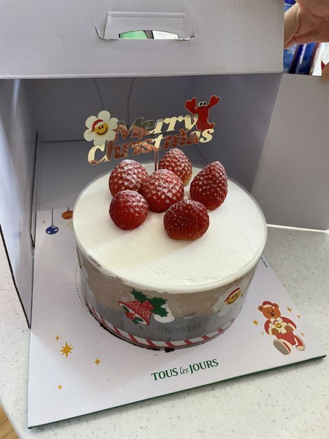 뚜레쥬르 크리스마스 케익… 이게 맞나요?