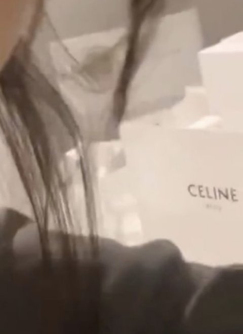 다니엘 셀린이랑 모징..!