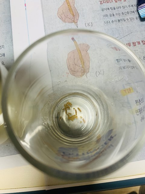 일곱일레븐  맥주