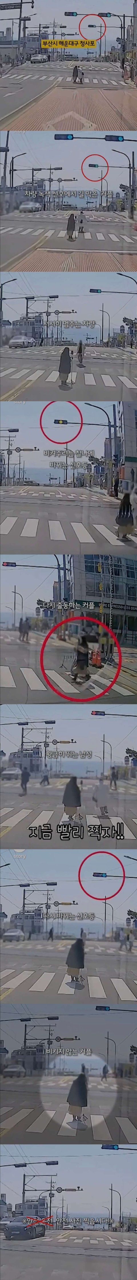 신호 무시하고 사진 찍는 "민폐 커플"