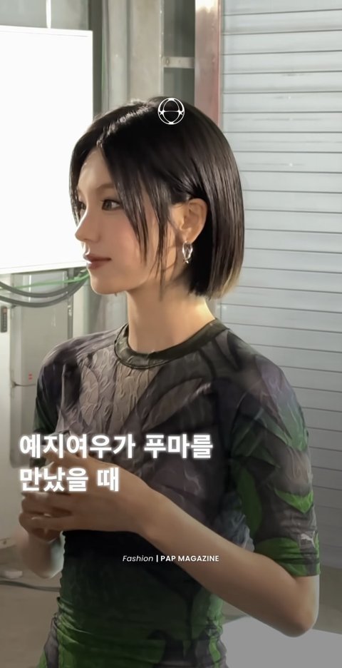 예지 푸마 개이쁘다