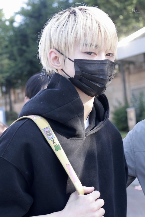 보플 정병좀 발사할게