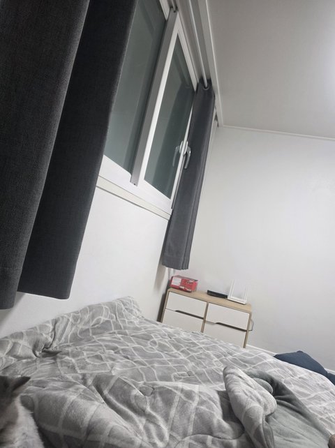 젖과꿀이 흐르는땅