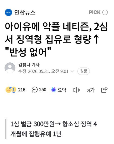 아이유에 악플 네티즌, 2심서 징역형 집유로 형량 "반성 없어"