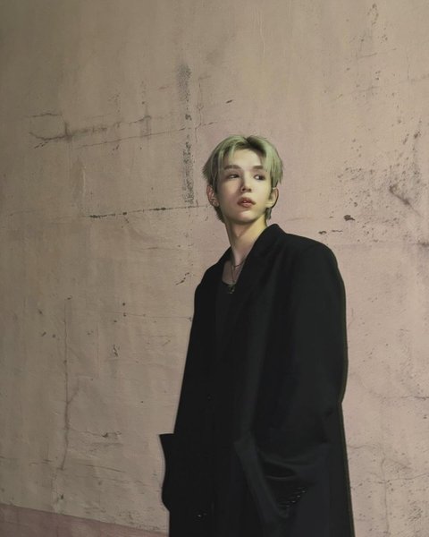 라이즈 쇼타로 요즘 뭐냐