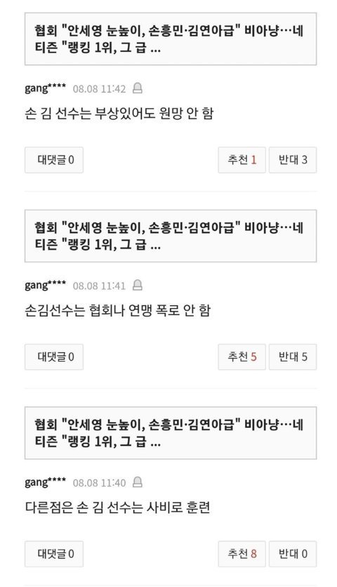 안세형 악플러