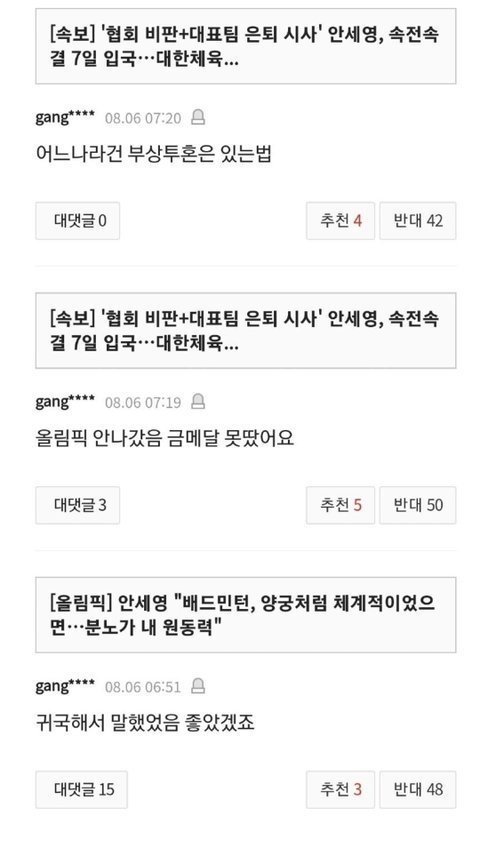 안세형 악플러