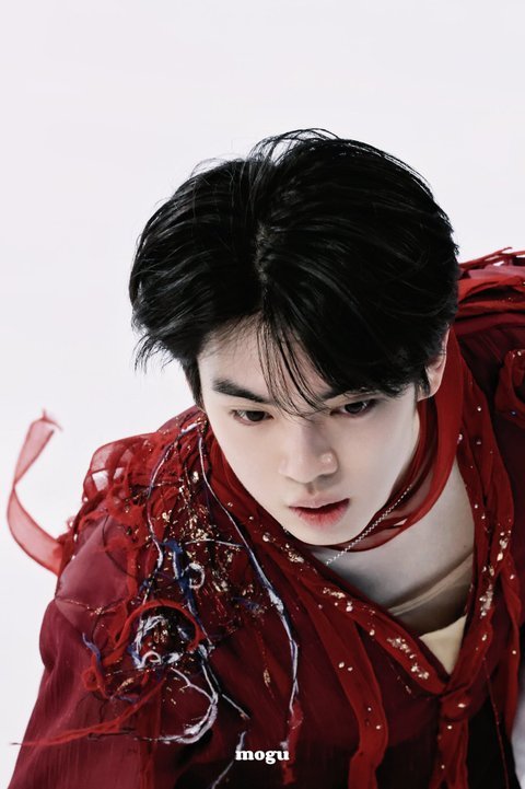 차준환 선수 악성루머 퍼뜨린- 김연아 극성팬