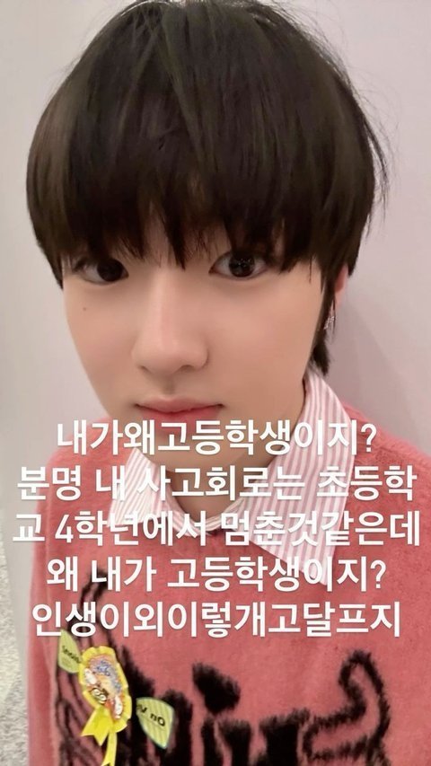 엔위시 사쿠야 도티닮은거같지않냐