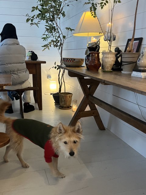 예전 f(x) 감성 찾은 크리스탈 화보