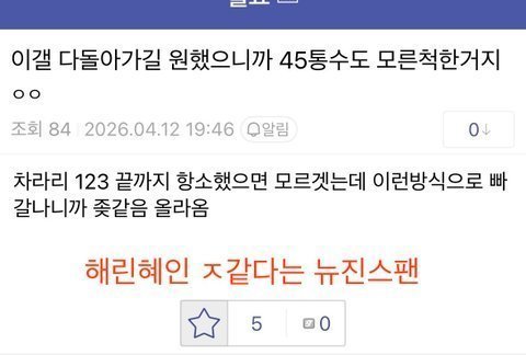 뉴진스팬들 해린혜인 욕하는거 소름돋음