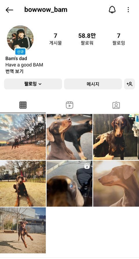 정국이 밤이 인스타개설 진짜 함