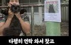 고양이를 잃어버린 태국남성의 최후