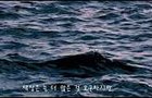 오늘도 잘 버텼어요, 그것만으로 충분해요