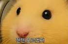 _ㅡ