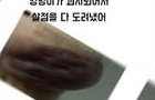 고딩때 학교체벌로 엉덩이 살점 나간 학폭가해자