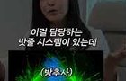 노산인 이유
