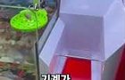 물고기 뽑기?